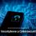 The Power of Predictive Analytics for Business Growth
