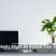 Houseplants Might Be Behind Your Sluggish Wi-Fi