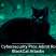 U.S. Cybersecurity Pros Admit Role in BlackCat Attacks